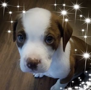 Meet your Posher, Esther